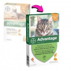 Advantage pipetas antiparasitárias para gatos e roedores