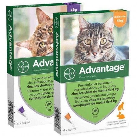 Advantage pipetas antiparasitárias para gatos e roedores