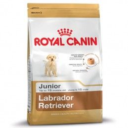 Royal Canin Labrador Retriever Puppy