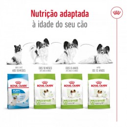 Royal Canin X-Small Ageing 12+