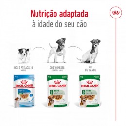 Royal Canin Mini Ageing 12+ wet