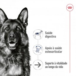 Royal Canin Maxi Ageing 8+ wet