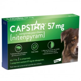 Capstar comprimidos Antiparasitários para cães