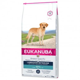 Eukanuba Dog Labrador Retriever Adult