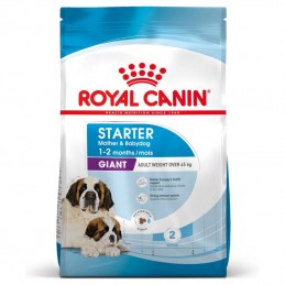 Royal Canin Giant Starter Mother & Baby Dog Royal Canin - 1