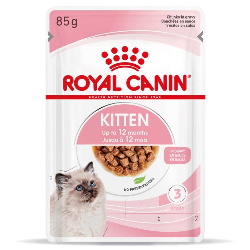 Royal Canin Kitten em molho