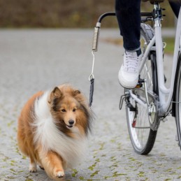 Trixie adaptador bicicleta para passear cão