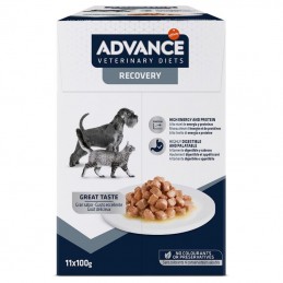 Advance Veterinary Diets Dog & Cat Recovery wet