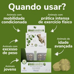 Omnicondro 20 condroprotector para cães e gatos