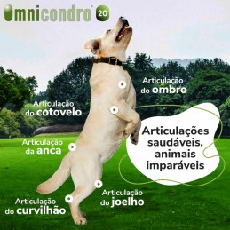 Omnicondro 20 condroprotector para cães e gatos