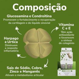 Omnicondro 20 condroprotector para cães e gatos