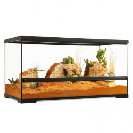 Pro Terrário de vidro Exo Terra Grande Wide 90x45x45cm
