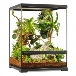 Pro Terrário de vidro Exo Terra Pequeno Tall 45x45x60cm